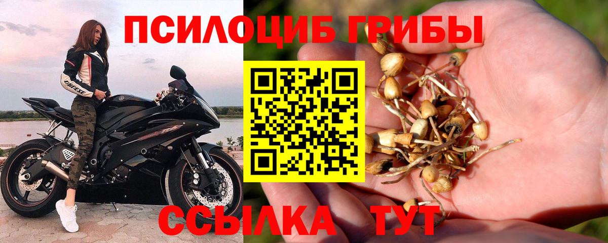 Канск  Галлюциногенные грибы мухоморы  Псилоцибиновые грибы MAGIC MUSHROOMS  Вход с VPN 
